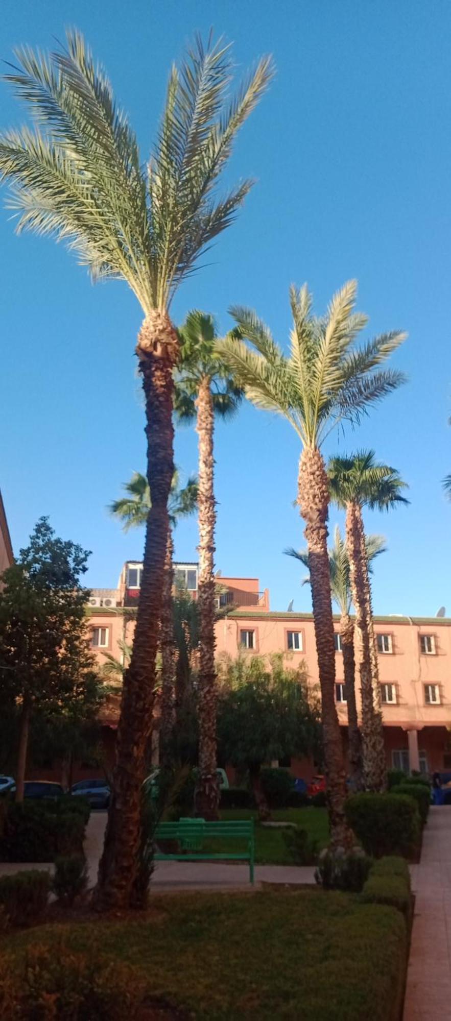 Riad Al-Bushra Марракеш Екстер'єр фото
